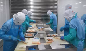 Xuất khẩu Việt Nam: Động lực tăng trưởng bền vững mới