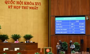 Người lao động chính thức có thêm một ngày nghỉ lễ được hưởng nguyên lương vào 24/11