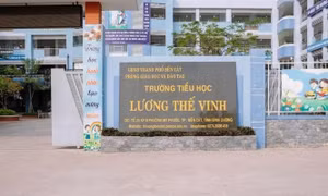 5 học sinh tiểu học bị cô giáo phạt tự dùng kim tiêm chích vào tay