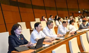 Thông cáo báo chí số 6, Kỳ họp thứ nhất, Quốc hội khóa XVI