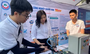 Chiến lược nhân lực cho giai đoạn mới