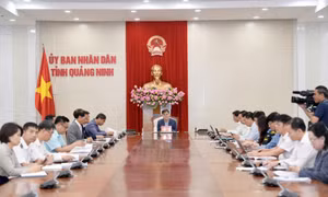 Chủ tịch UBND tỉnh Bùi Văn Khắng chủ trì làm việc với đối tác Hoa Kỳ về đầu tư cảng Con Ong - Hòn Nét