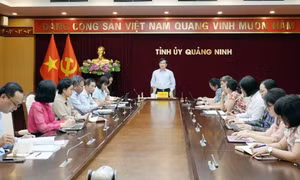 Đẩy nhanh tiến độ biên soạn, xuất bản cuốn sách Lịch sử Đảng bộ tỉnh Quảng Ninh tập V (2005-2025)