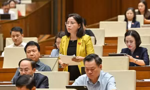 Đại biểu Quốc hội đề xuất gỡ “rào” tỷ lệ khen thưởng, tôn vinh giá trị thực