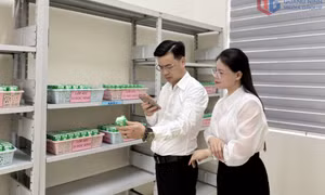 Bình Khê: Khơi dậy nội lực từ dân chủ ở cơ sở