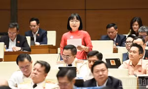 Đại biểu Quốc hội đề nghị nâng ngưỡng miễn thuế cho hộ kinh doanh