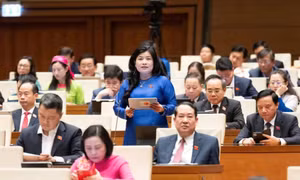 Phát huy vai trò giám sát độc lập, thường xuyên của từng đại biểu Quốc hội