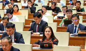 Thông cáo báo chí số 10, Kỳ họp thứ nhất, Quốc hội khóa XVI
