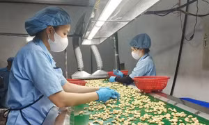 Nông sản xuất khẩu: Chủ động trước 'cú sốc' Trung Đông