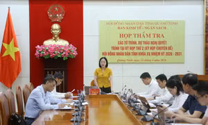 Thẩm tra các dự thảo nghị quyết lĩnh vực kinh tế - ngân sách trình Kỳ họp thứ 2, HĐND tỉnh