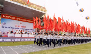 Khai mạc Đại hội Thể dục thể thao phường Bãi Cháy lần thứ I, năm 2026