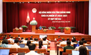 Thảo luận nhiều nội dung quan trọng tại hội trường