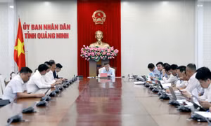 UBND tỉnh cho ý kiến về kế hoạch phát triển Vịnh Cửa Lục