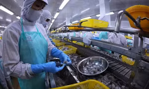 Quý I/2026: Kinh tế trong nước vượt khó, duy trì nhịp tăng trưởng tương đối ổn định
