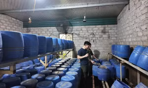 Đột kích hàng loạt xưởng sản xuất giá đỗ sử dụng chất cấm tại Quảng Ninh