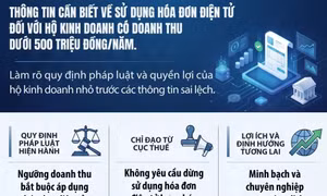 Thông tin cần biết về việc sử dụng hóa đơn điện tử đối với hộ kinh doanh có doanh thu dưới 500 triệu đồng/năm