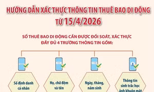 Hướng dẫn xác thực thông tin thuê bao di động từ 15/4