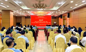 Triển khai tổ chức cuộc thi báo cáo viên, tuyên truyền viên giỏi