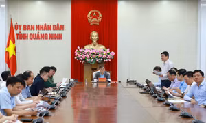 Đảm bảo tốt nhất mọi điều kiện để tổ chức thành công Lễ khởi công Dự án Tuyến đường sắt tốc độ cao Hà Nội - Quảng Ninh