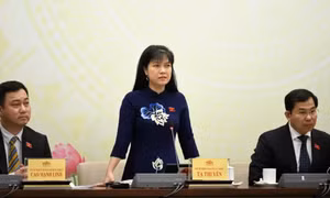 Công tác nhân sự của Kỳ họp được tiến hành nghiêm túc, chặt chẽ và bài bản