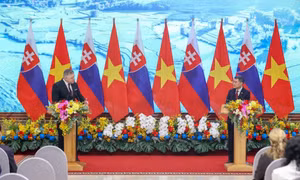 Tuyên bố chung về thiết lập quan hệ đối tác chiến lược giữa Việt Nam và Slovakia