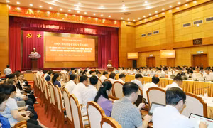  Củng cố hệ thống chính trị vững mạnh trong khu vực kinh tế tư nhân