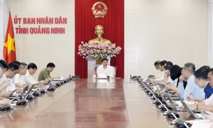 Nâng cao hiệu lực, hiệu quả quản lý nhà nước đối với hoạt động sơ chế, chế biến thủy sản