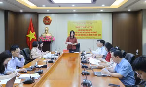 Thẩm tra các dự thảo nghị quyết lĩnh vực văn hoá - xã hội trình Kỳ họp thứ 2, HĐND tỉnh
