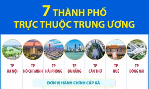 Thông tin về 7 thành phố trực thuộc Trung ương