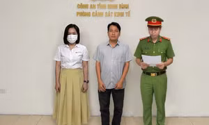 Giám đốc cùng kế toán bị khởi tố vì trốn thuế