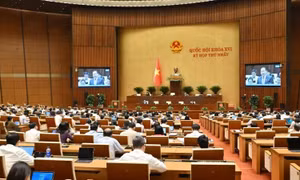 Thông cáo báo chí số 8, Kỳ họp thứ nhất, Quốc hội khóa XVI