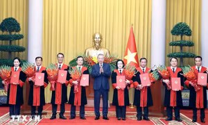 Tổng Bí thư, Chủ tịch nước Tô Lâm trao quyết định bổ nhiệm Thẩm phán TAND tối cao