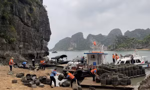 Yêu cầu chấm dứt ngay hoạt động nuôi trồng thủy sản trái phép trên Vịnh Hạ Long
