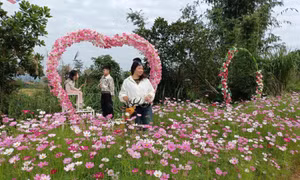 Thúc đẩy du lịch cộng đồng từ mô hình làng văn hoá các dân tộc