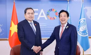 Nâng cao giá trị gia tăng và phát triển nông nghiệp xanh, bền vững, thông minh