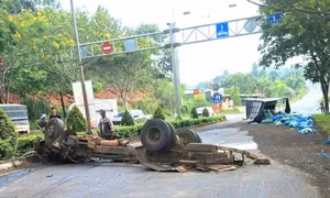 Xe tải vỡ nát sau khi tông vào cây cổ thụ, 2 người bị thương nặng