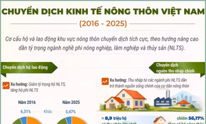 Chuyển dịch kinh tế nông thôn Việt Nam giai đoạn 2016-2025