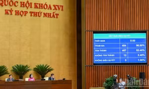 Thí điểm 2 năm thực hiện chế định luật sư công tại 8 bộ, 10 địa phương