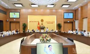 Thống nhất trình Quốc hội xem xét, quyết định thành lập thành phố Đồng Nai trực thuộc Trung ương