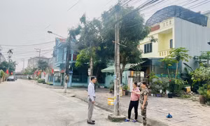 Cần di dời các cột điện nằm dưới lòng đường tại Quảng Yên