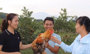 Những “Nông dân Việt Nam xuất sắc” của Quảng Ninh