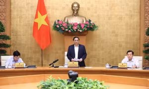 Thủ tướng: Phản ứng chính sách phải kịp thời, chính xác, hiệu quả hơn