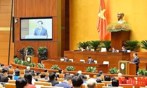 Thông cáo báo chí số 5, Kỳ họp thứ 4, Quốc hội khóa XV