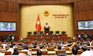 Thông cáo báo chí số 8, Kỳ họp thứ 4, Quốc hội khóa XV