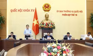 Chính phủ đề nghị kéo dài chính sách đặc thù trong phòng chống dịch