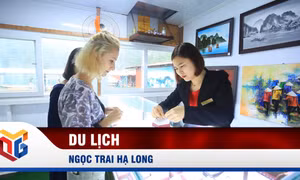 Ngọc trai Hạ Long