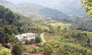 Khám phá bản Phạt Chỉ