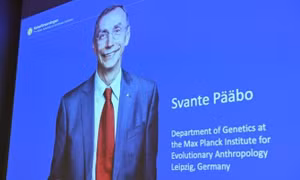 Nghiên cứu về cội nguồn gene người đoạt giải Nobel Y Sinh 2022
