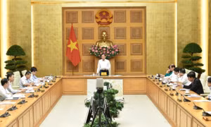 Theo dõi sát diễn biến thị trường, chủ động triển khai các biện pháp điều hành giá kịp thời, hiệu quả