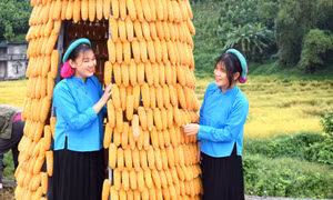 Check-in ở Đại Dực